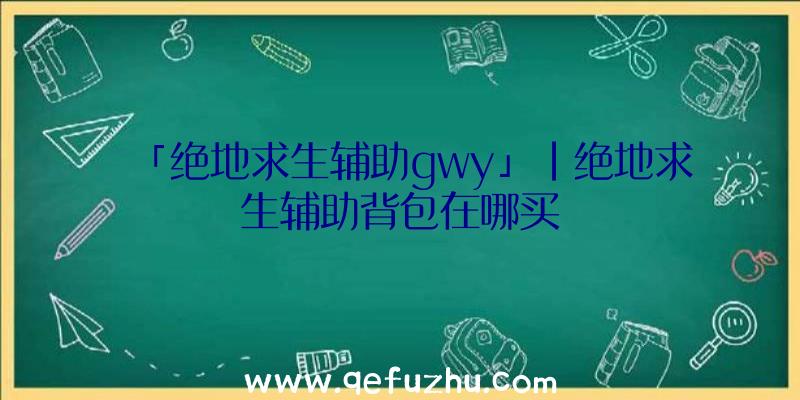 「绝地求生辅助gwy」|绝地求生辅助背包在哪买